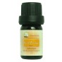 Sweet Orange Essential Oil