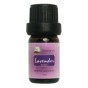 Lavender Essential Oil 