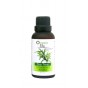 Tea Tree Essential Oil 